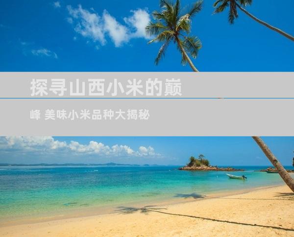 探寻山西小米的巅峰 美味小米品种大揭秘